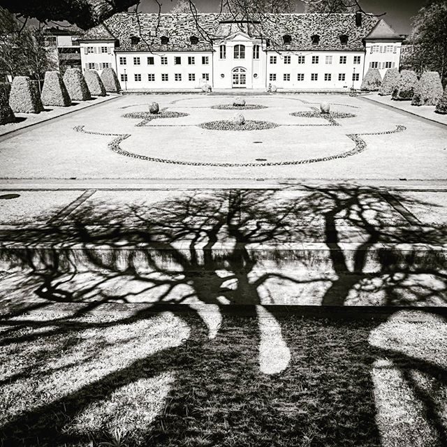 Der Hofgarten in schwarz-weiß. - schwarzweiss, hofgarten, baumschatten